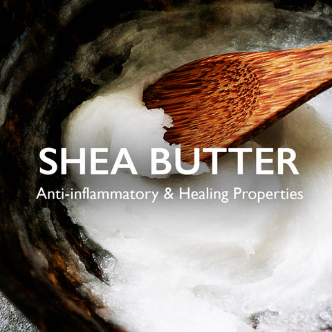 Luxe Shea CoCo- Body Butter